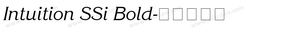 Intuition SSi Bold字体转换